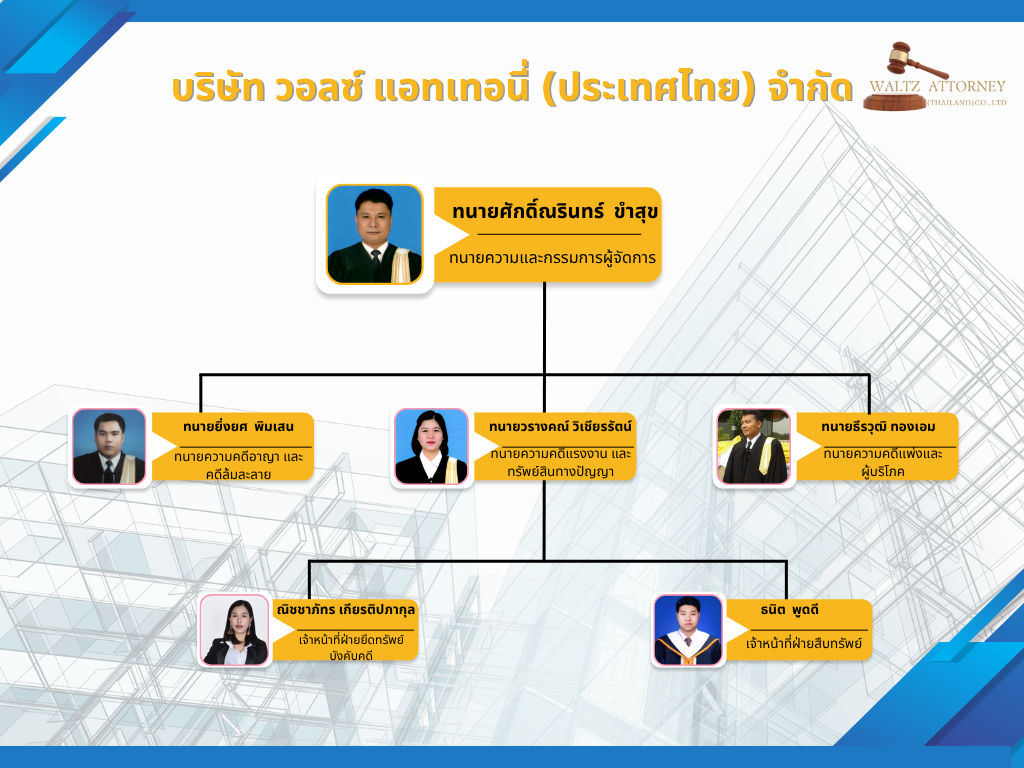 โครงสร้างองค์กร บริษัท waltz attorney